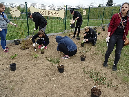 Kolejna edycja akcji KROSNO WIOSNĄ za nami - zdjęcie w treści  nr 1