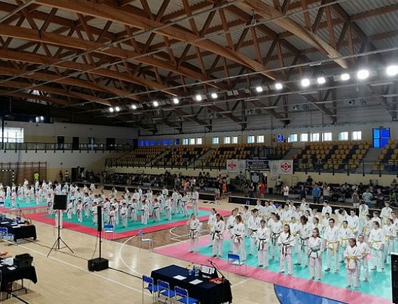 Krośnieńscy karatecy na turnieju w Katowicach