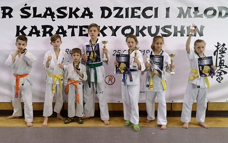 Pięć medali podczas  V Pucharu Śląska Dzieci i Młodzieży w Rudzie Śląskiej - zdjęcie w treści 