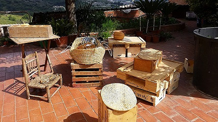 Anna Gawłowska, „Szklany warzywniak”. Wystawa w CDS - zdjęcie w treści 