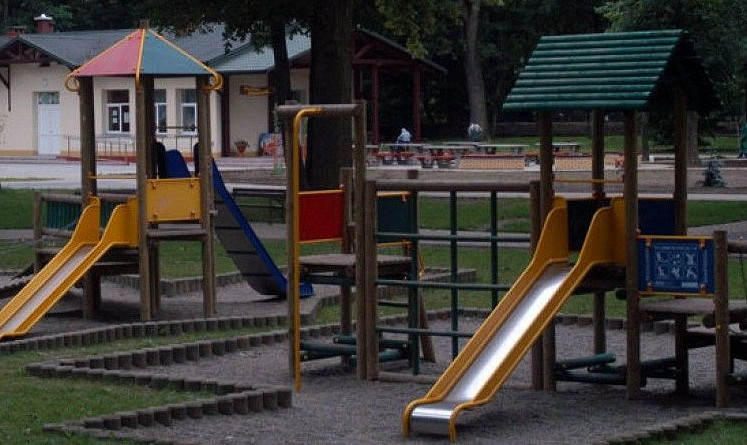 Rozpoczyna się akcja pielęgnacji i konserwacji drzew w Ogródku Jordanowskim - zdjęcie w treści