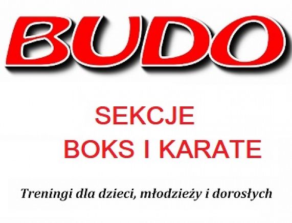 Plakat Budo