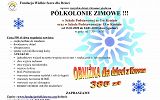 Plakat - Ferie zimowe i półkolonie