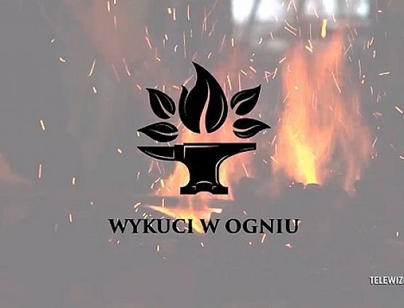 Grafika Festiwalu Filmów Optymistycznych PIKE HAPPY END