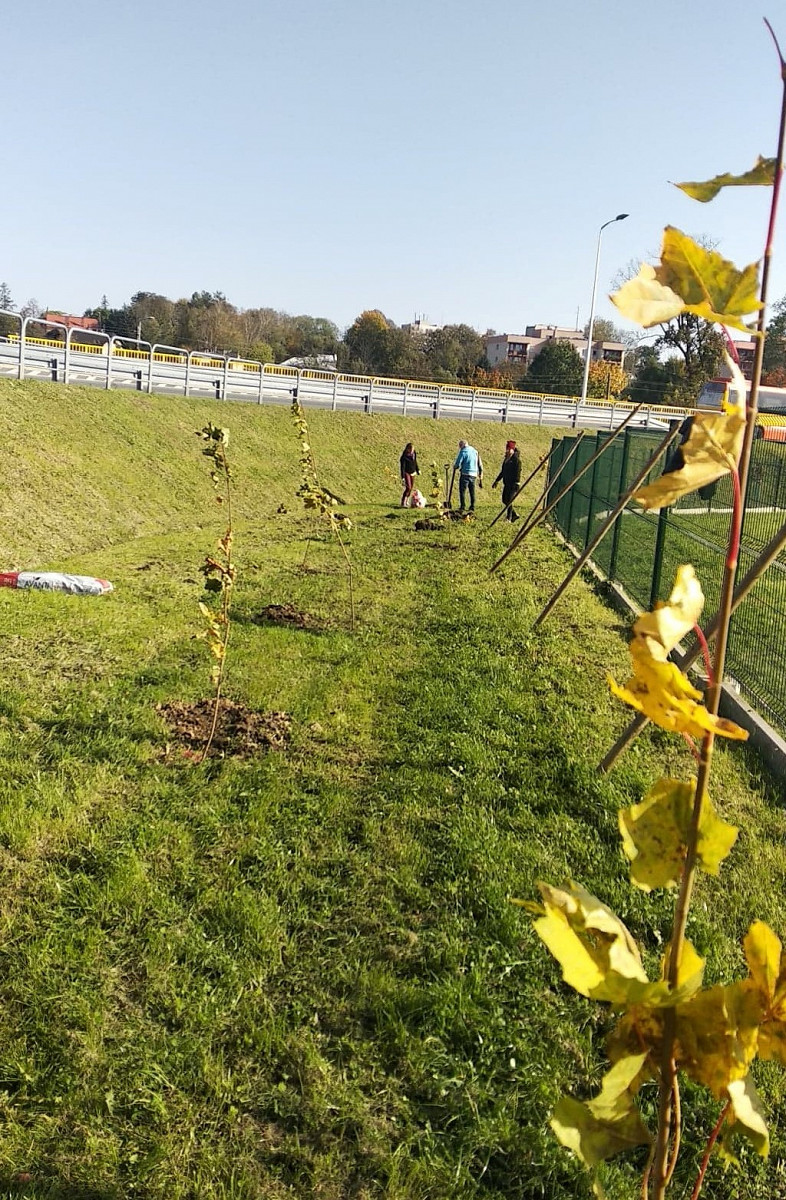 Dbamy o bioróżnorodność w mieście - zdjęcie w treści