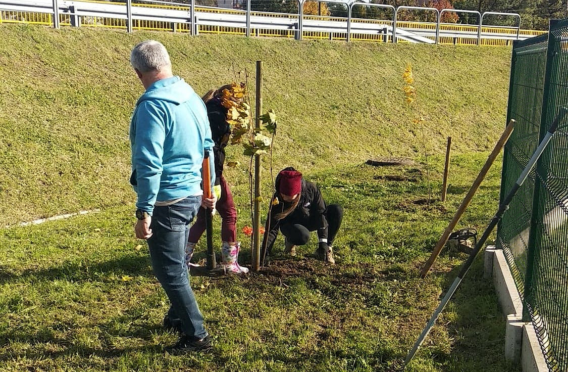 Dbamy o bioróżnorodność w mieście - zdjęcie w treści nr 1