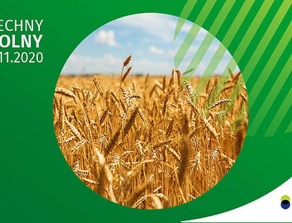 Grafika - Powszechny Spis Rolny 2020