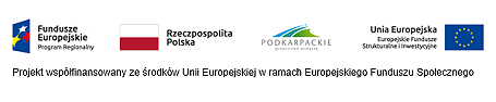 RARR zaprasza do udziału w projekcie pt. „Dostępna praca” - zdjęcie w treści nr 1