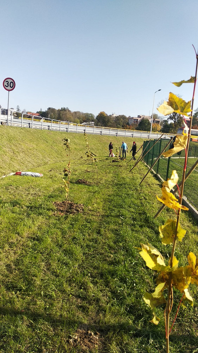 Podsumowanie roku 2020 - zdjęcie w treści nr 13