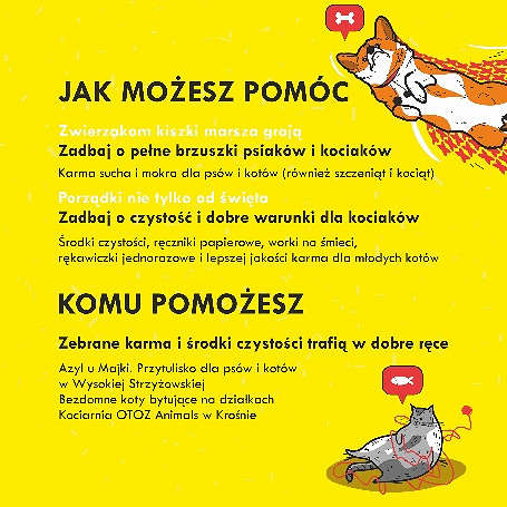 Akcja „Małe serca potrzebują więcej ciepła” Zbiórka karmy dla psów i kotów oraz środków czystości - zdjęcie w treści