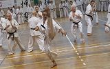 Dziesiąte drużynowe Mistrzostwo Podkarpacia Krośnieńskiego Klubu Kyokushin Karate