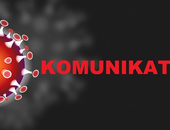 Grafika - koronawius, źródło: pixabay