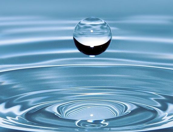 Krola wody - fot. pexels.com