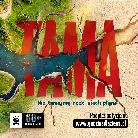 Dołącz do Godziny dla Ziemi WWF - zdjęcie w treści 