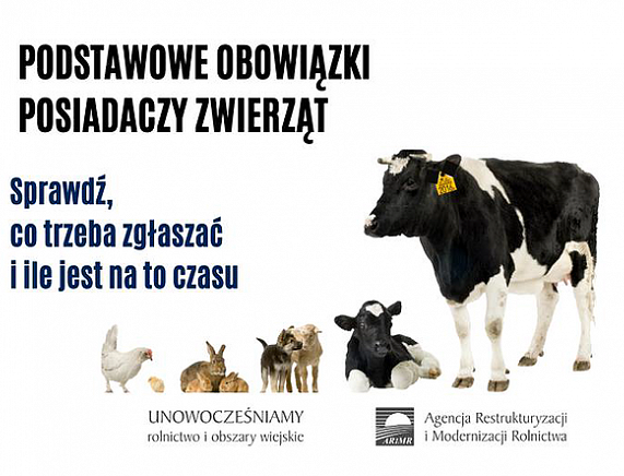 Grafika - Podstawowe obowiązki dla posiadaczy zwierząt