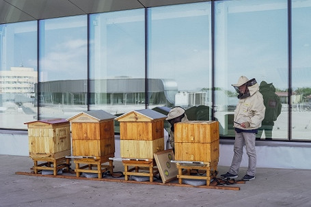 VIVO! Krosno rozpoczęło sezon pszczelarski - zdjęcie w treści 