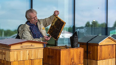 Miodobranie w VIVO! Krosno - zdjęcie w treści