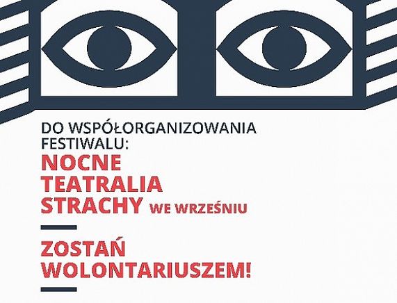 Wspólne zdjęcie wolontariuszy oraz organizatorów podczas 12 edycji festiwalu