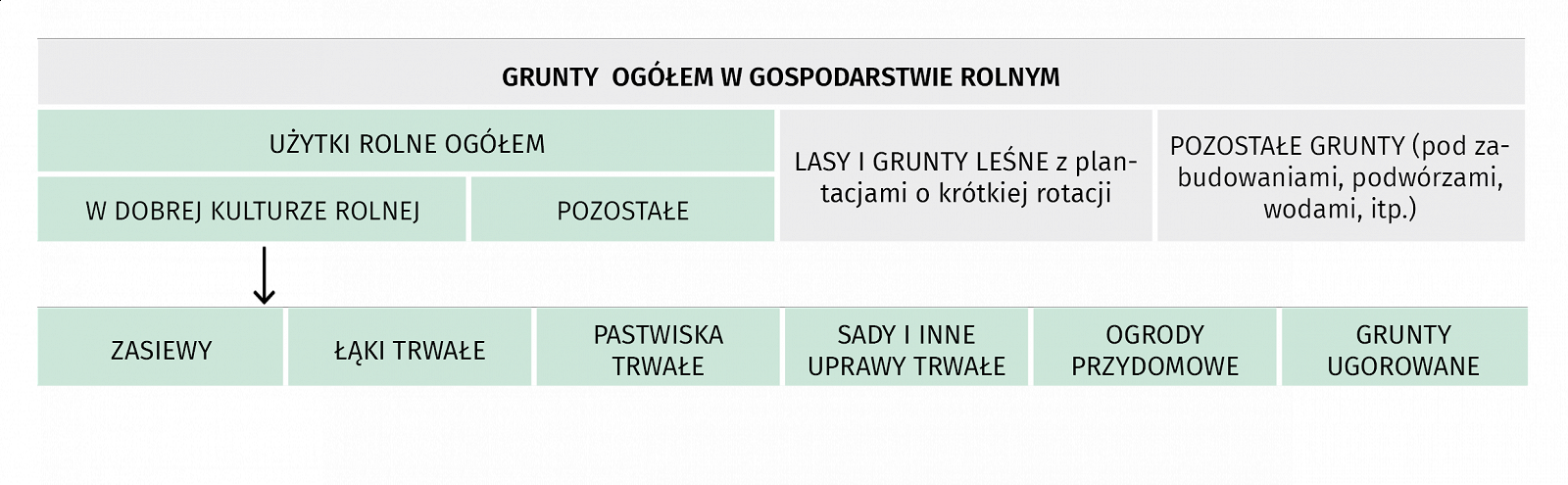 Spisz się jak na rolnika przystało, czyli o co zapytamy w Powszechnym Spisie Rolnym 2020 - zdjęcie w treści