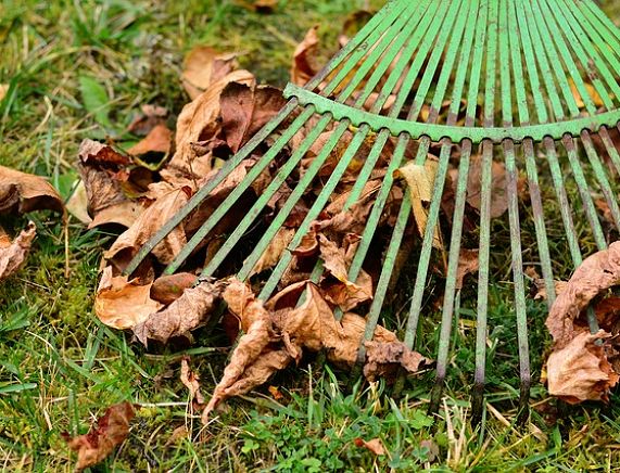 Grabienie liści - fot. Pixabay