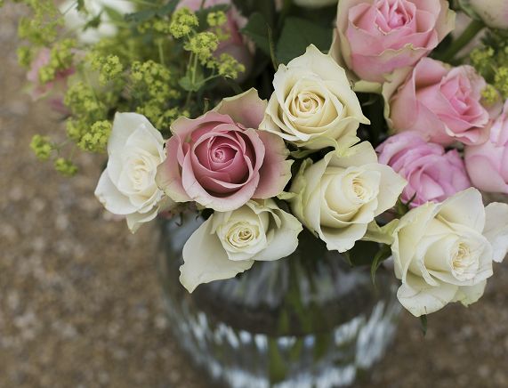 roses-ge6cb7d3f4_1920.jpg