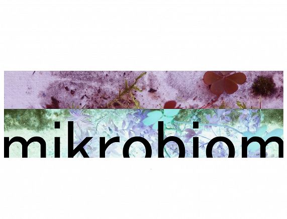 grafika - wysawa mikrobiom