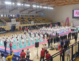 Mistrzostwa Europy w Katowicach