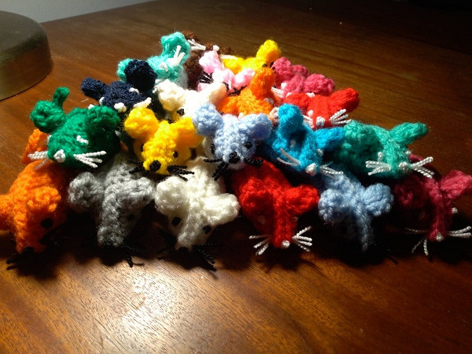 Fundacja, która chce sprawić