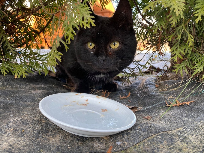 Fundacja, która chce sprawić