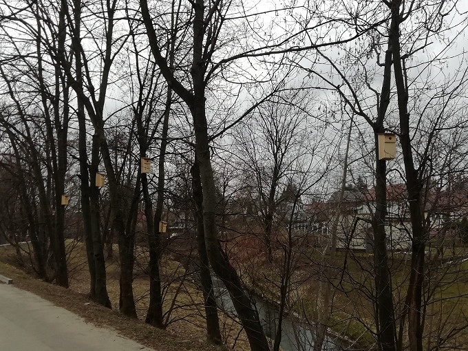 100 budek dla ptasiej dzielnicy - zdjęcie w treści