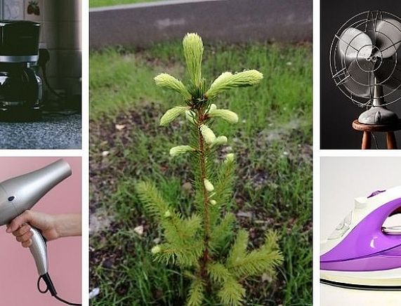 Grafika - zbiórka elektrośmieci