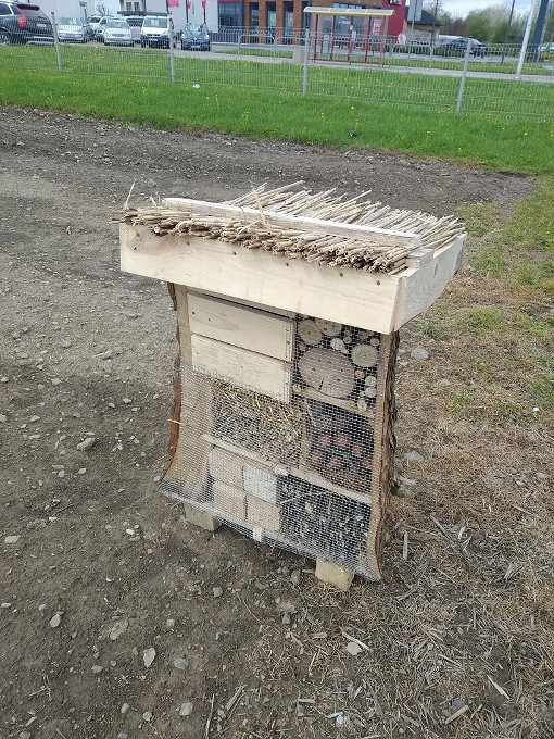 Wiosna w Krośnie - zdjęcie w treści nr 3