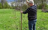 Sadzenie drzew w eksperymentalnym miejskim sadzie w zakolu Wisłoka