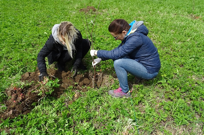 Wiosna w Krośnie - zdjęcie w treści
