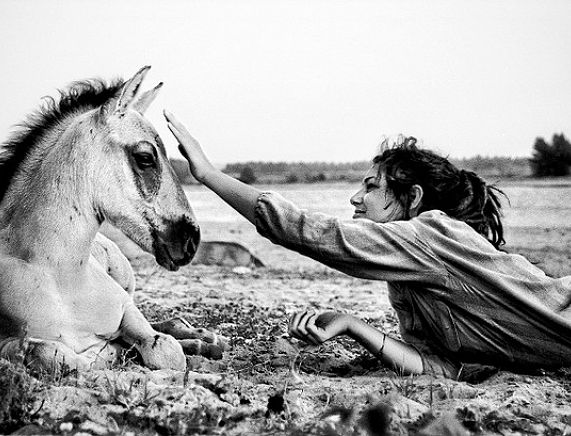 RCKP Z punktu widzenia 2021 odcinek 10 fot. Justyna Lorenc 1