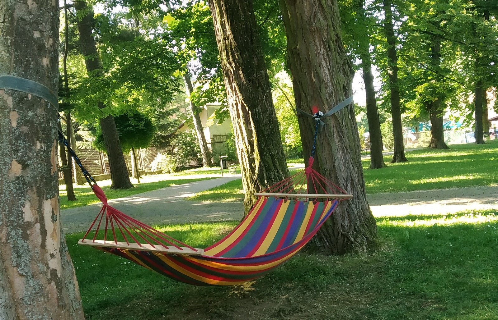 Chwila relaksu na hamaku w miejskim parku? O tak! - zdjęcie w treści
