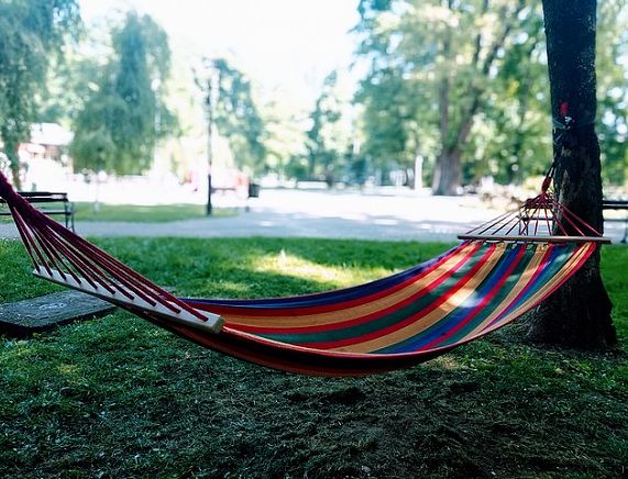 Hamak w parku