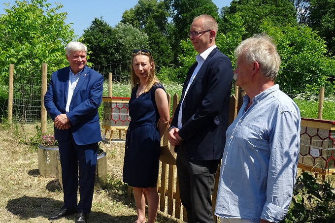 Miejska pasieka w Krośnie - zdjęcie w treści