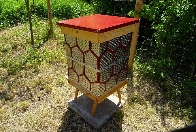 Miejska pasieka w Krośnie - zdjęcie w treści nr 1