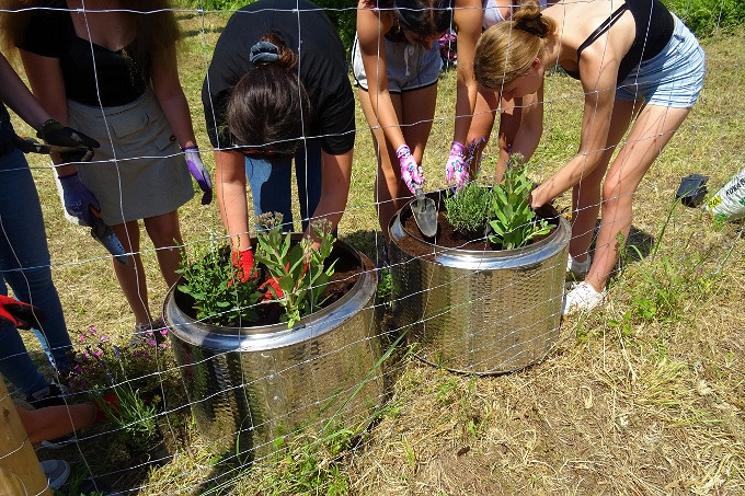Miejska pasieka w Krośnie - zdjęcie w treści nr 2
