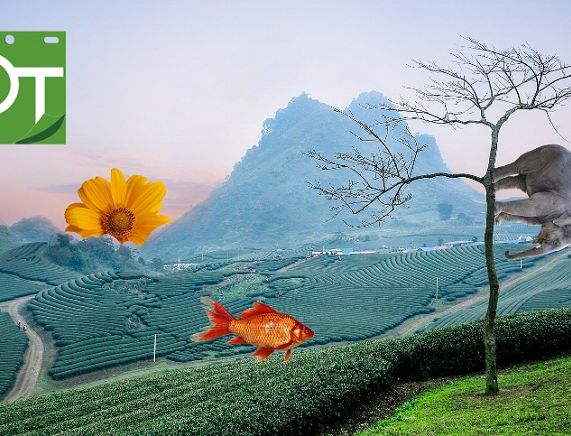 Plakat warsztaty animacji komuterowej