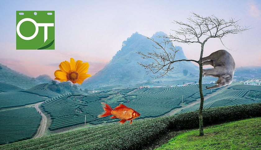 Plakat warsztaty animacji komuterowej 1.jpg [319.73 KB]