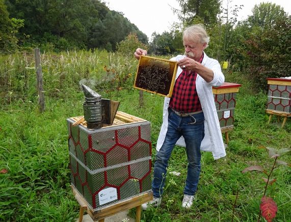 Krośnieńskie miodobranie - fot. M. Fiejdasz