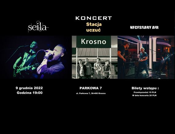 Plakat grudniowych koncertów w Parkowej 7 - grafika