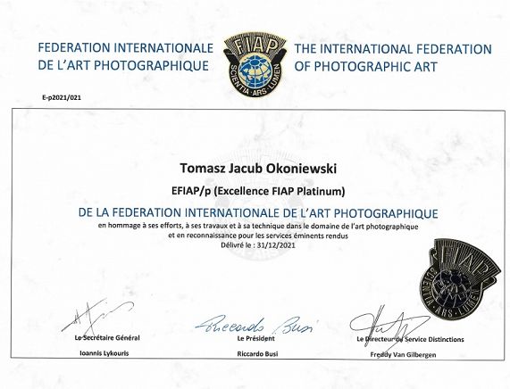 Dyplom, certyfikat EFIAP-PLATINUM