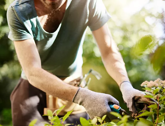 bliska-silny-mezczyzna-w-rekawiczkach-ciecia-lisci-w-swoim-ogrodzie-rolnik-spedza-letni-poranek-w-ogrodzie-w-poblizu-wiejskiego-domu_176420-19902.webp