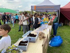 Majowy Piknik na trawie