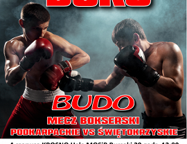 Plakat Międzynarodowy Puchar Karpat Boksu