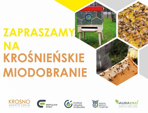 Krośnieńskie Miodobranie Grafika