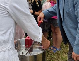 Miejskie miodobranie fot. M. Fiejdasz